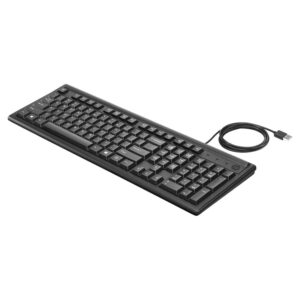 HP 100 Wired Keyboard (2UN30AA, Black)