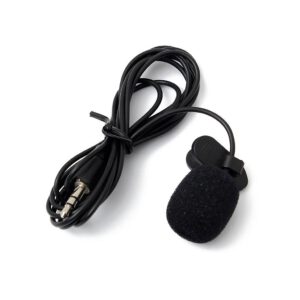 MIC